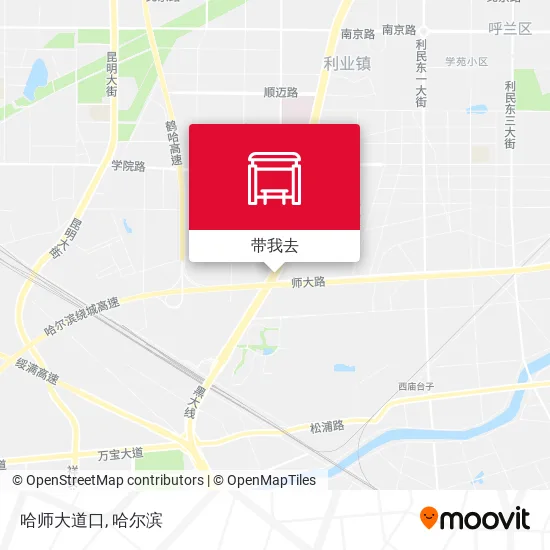 哈师大道口地图