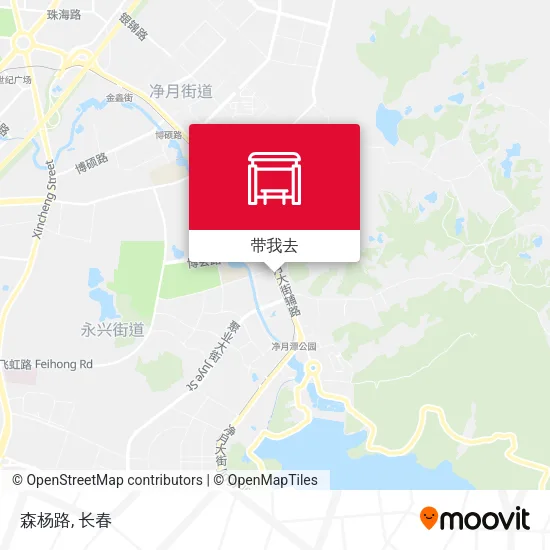 森杨路地图