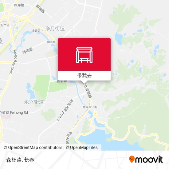 森杨路地图