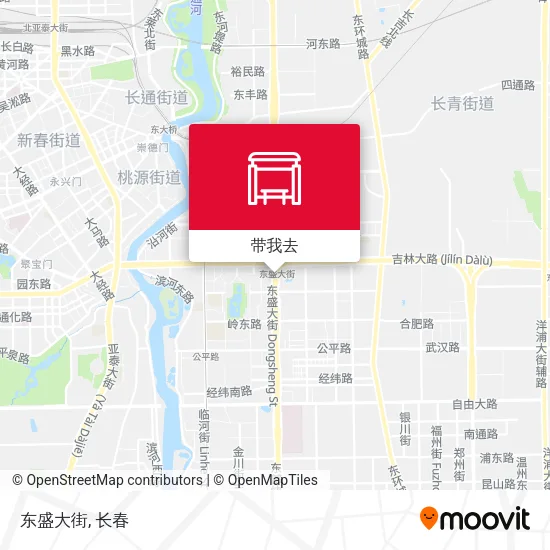 东盛大街地图