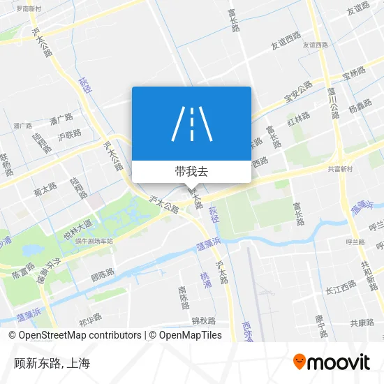 顾新东路地图