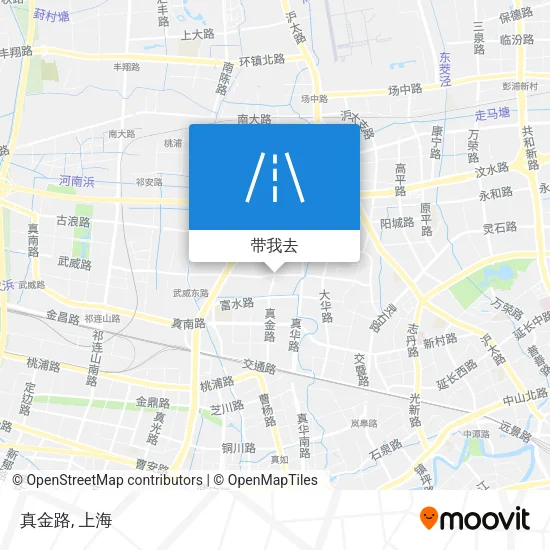 真金路地图
