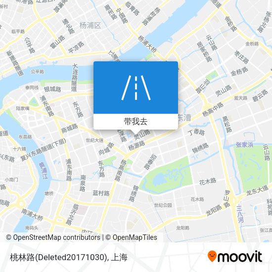 桃林路(Deleted20171030)地图