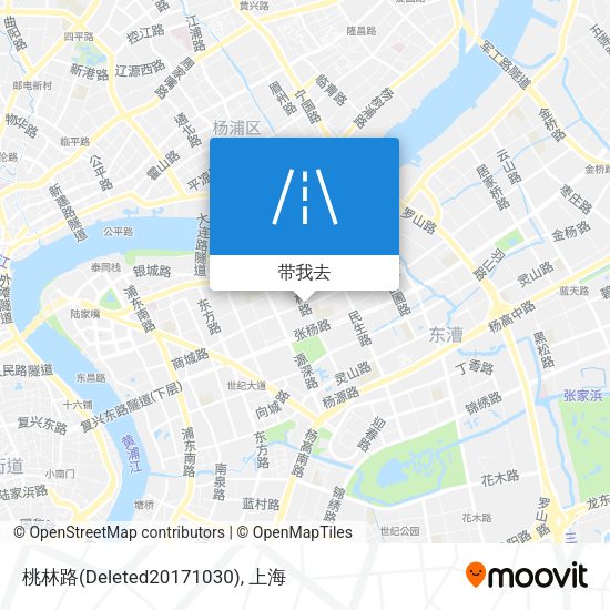 桃林路(Deleted20171030)地图