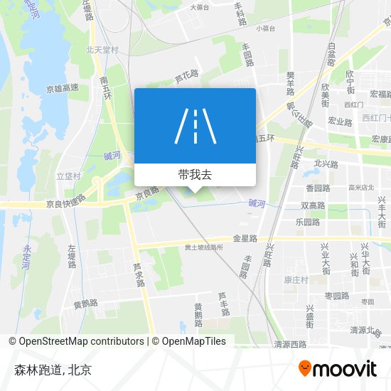 森林跑道地图