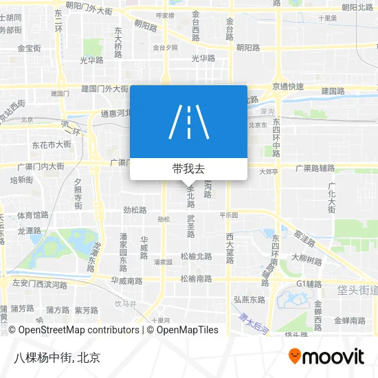 八棵杨中街地图