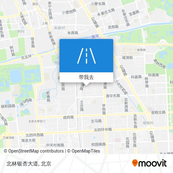 北林银杏大道地图