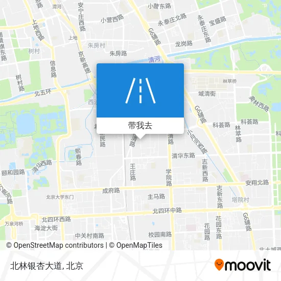 北林银杏大道地图