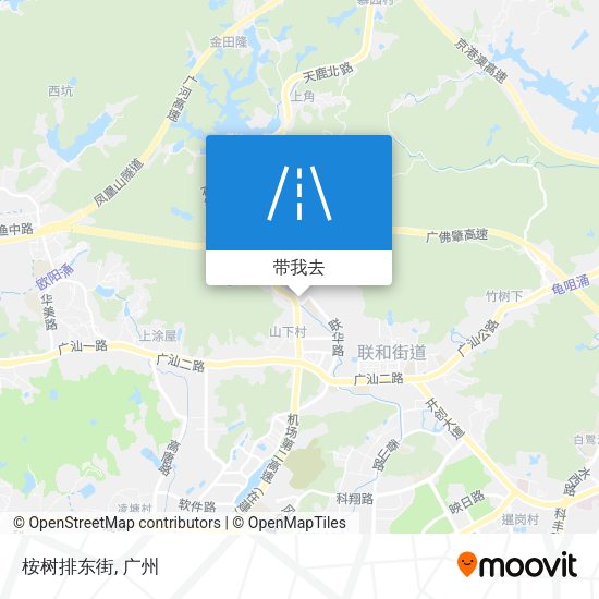 桉树排东街地图