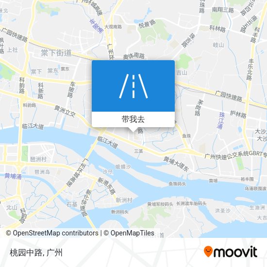 桃园中路地图
