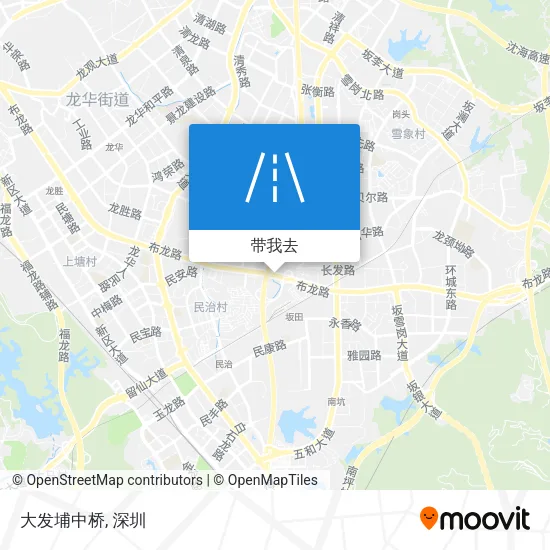 大发埔中桥地图