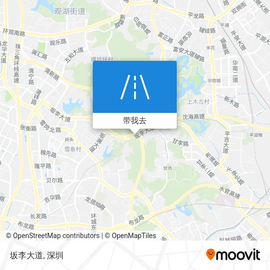坂李大道地图
