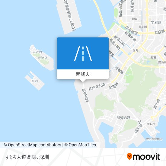 妈湾大道高架地图