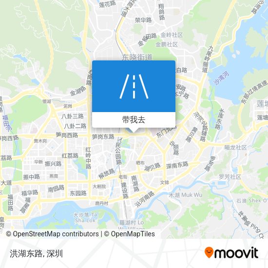 洪湖东路地图
