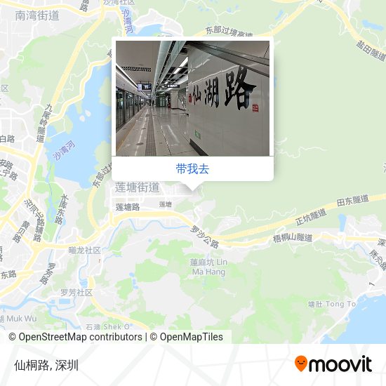 仙桐路地图