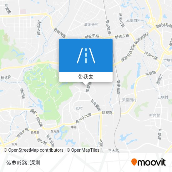 菠萝岭路地图