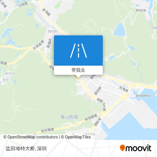 盐田坳特大桥地图