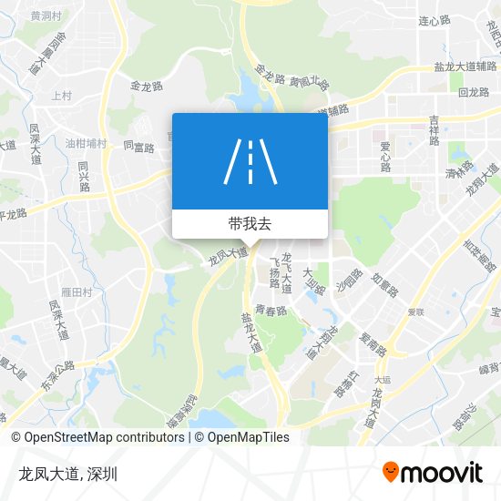 龙凤大道地图
