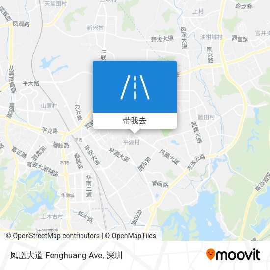 凤凰大道 Fenghuang Ave地图
