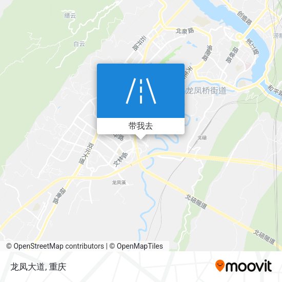 龙凤大道地图