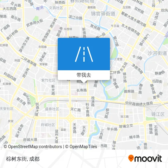 棕树东街地图