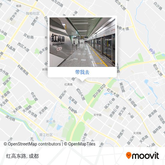 红高东路地图
