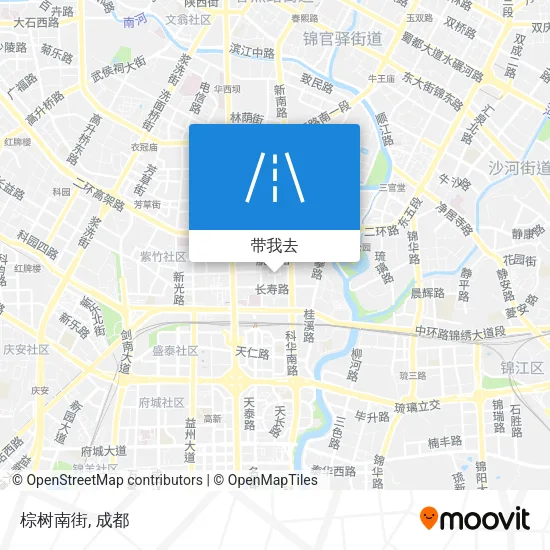 棕树南街地图