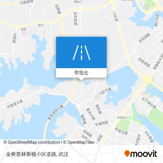 金桥普林斯顿小区道路地图