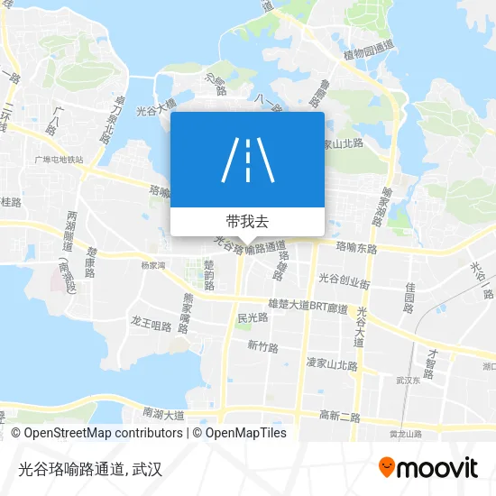 光谷珞喻路通道地图