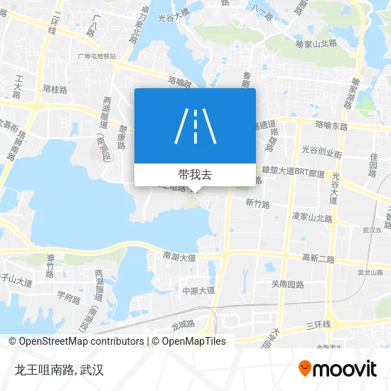 龙王咀南路地图