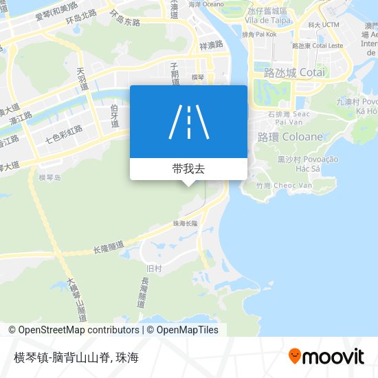 横琴镇-脑背山山脊地图