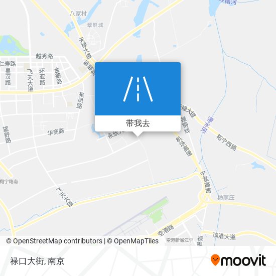 禄口大街地图