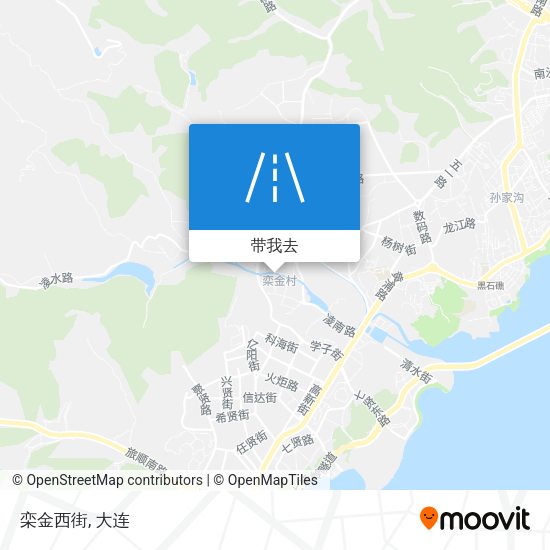 栾金西街地图