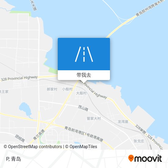 P地图