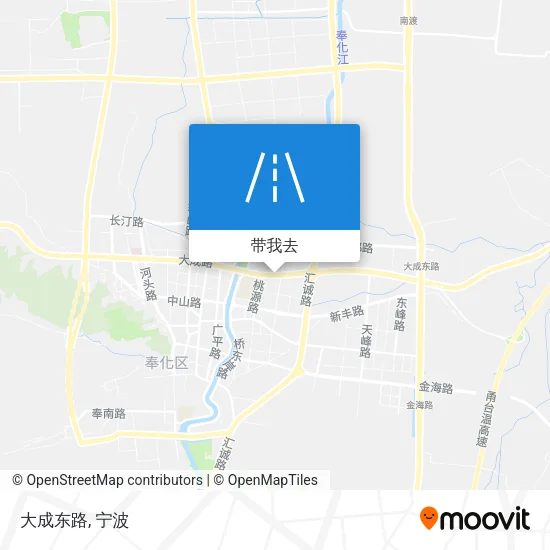 大成东路地图
