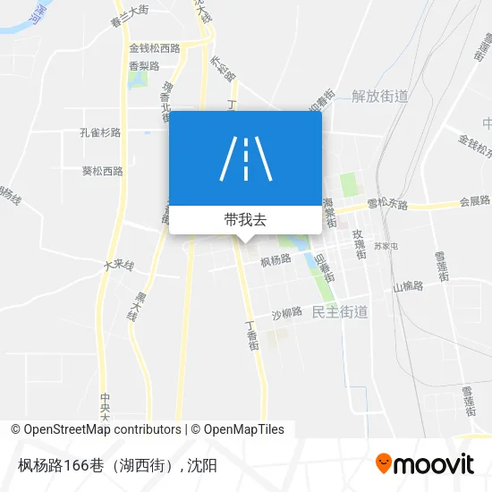枫杨路166巷（湖西街）地图