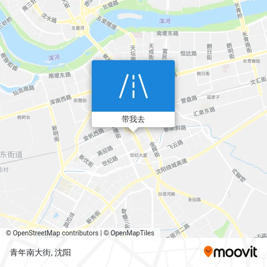 青年南大街地图