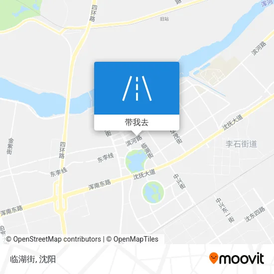 临湖街地图
