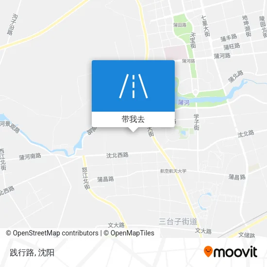 践行路地图