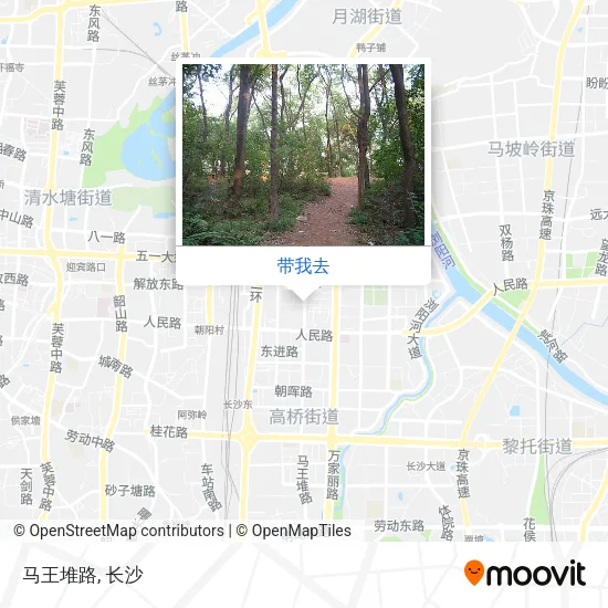 马王堆路地图