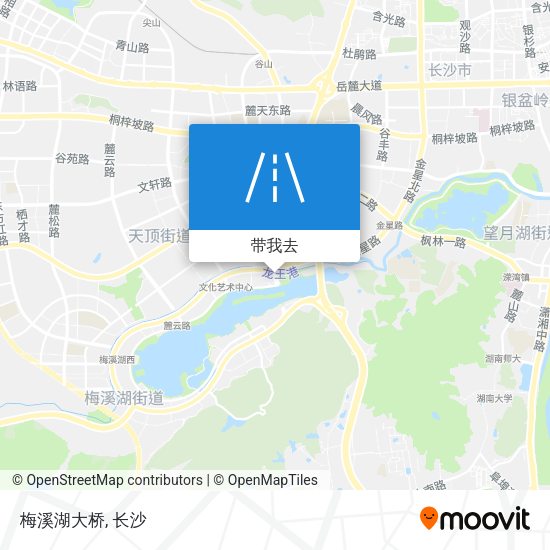 梅溪湖大桥地图