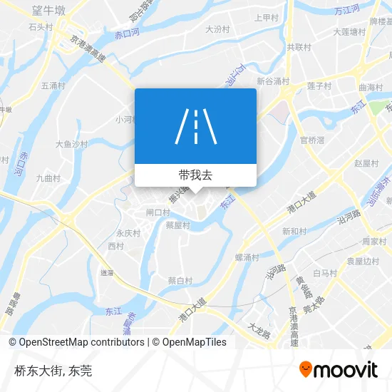 桥东大街地图