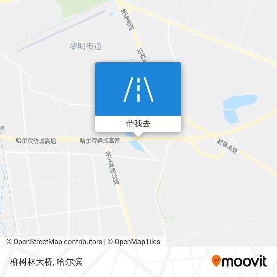 柳树林大桥地图
