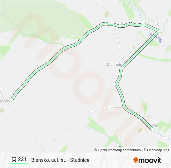 Автобус 231: карта маршрута