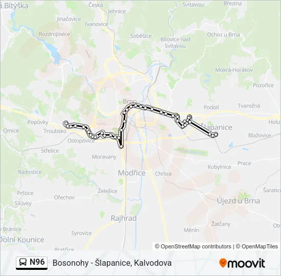 Автобус N96: карта маршрута