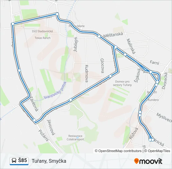 Š85 Bus Line Map