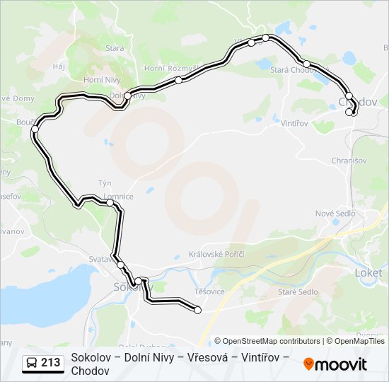 213 Bus Line Map