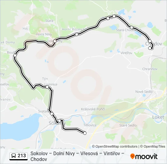 213 Bus Line Map