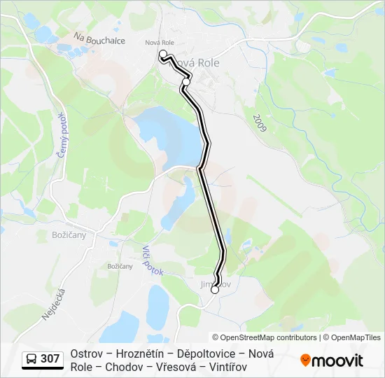 Автобус 307: карта маршрута
