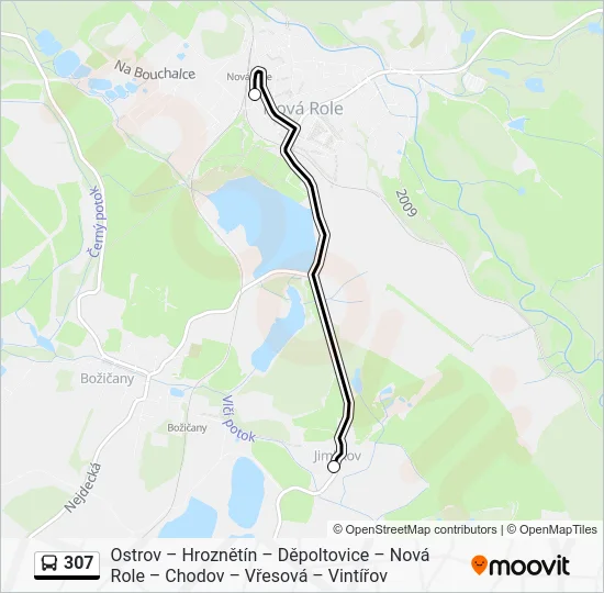 Автобус 307: карта маршрута